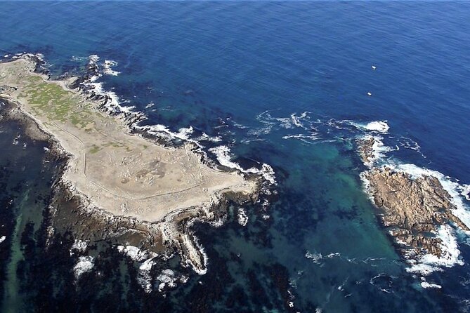 Marine Big 5 Safari With Transport From Hermanus - Marine Life Spotting