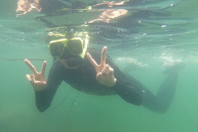 Marine Bio 101 Snorkel in San Diegos Mission Bay - Gratuities