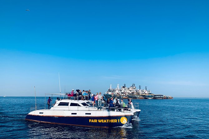 Marine Dolphin Seal Cruise - Ticket Redemption Point