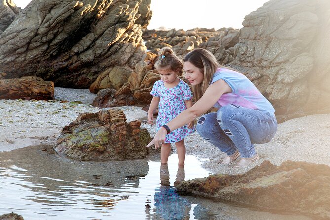 Marine Eco Safari - Booking Information