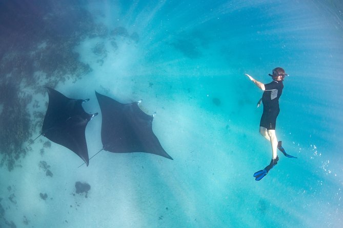 Marine Eco Safari - Swim With Manta Rays - Souvenir Photos