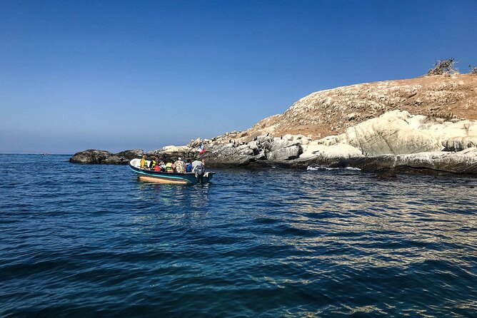 Marine Life & Flavors of the Pacific Full Day Private Tour - Discover the Marine Wonders