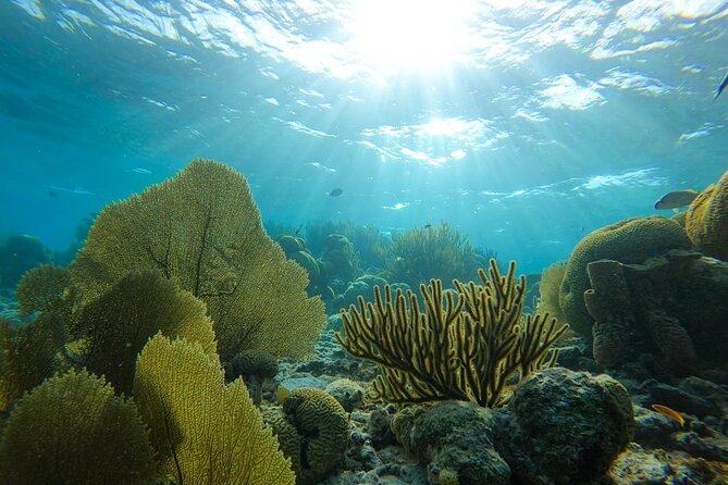 Marine Park - Private Boat Charter With Local Captain/ Guide - Captains and Guides