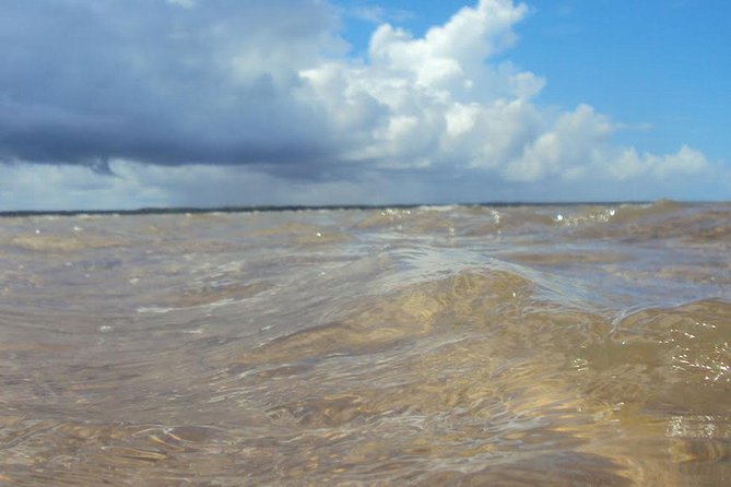Marinho Da Coroa Alta Park Nautical Tour and Mud Bath From Porto Seguro - Key Points