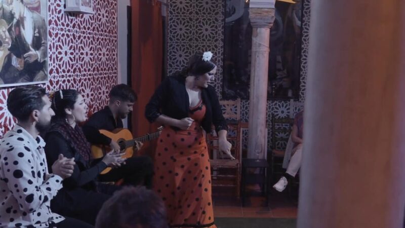 Mariscal Flamenco Show With Drink in Santa Cruz - Getting to the Venue
