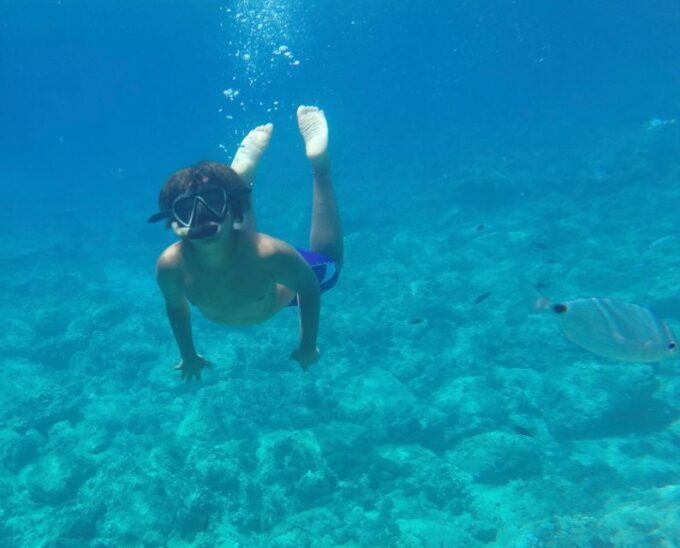Maristella: Porto Conte Park Snorkeling Boat Tour - Meeting Point and Transportation