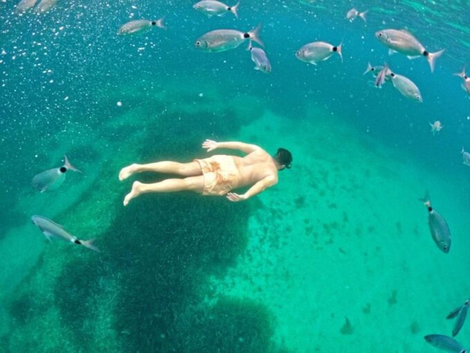 Maristella: Porto Conte Park Snorkeling Boat Tour - Frequently Asked Questions