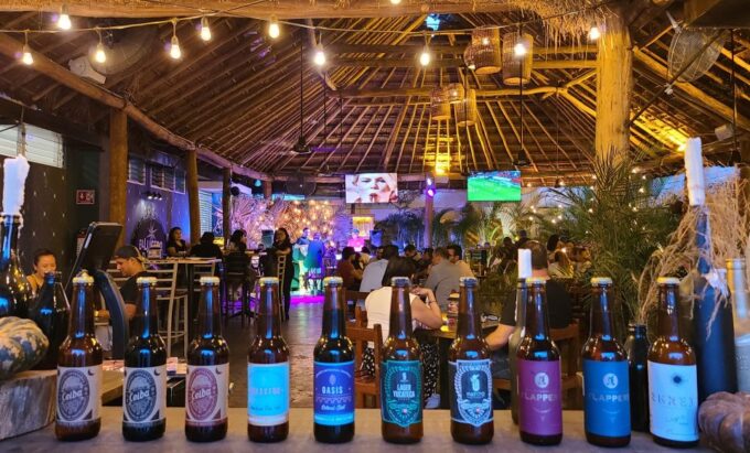 Market Tasting and Yucatecan Bars Tour in Merida - Meeting Point