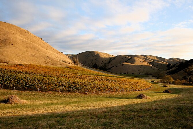 Marlborough Afternoon Wine Tour With Tastings - Accessibility