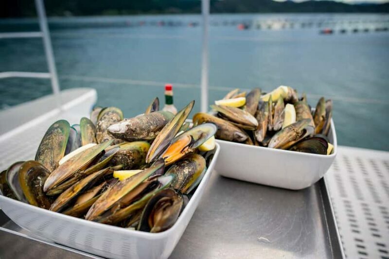 Marlborough: Full-Day Wine and Seafood Tour with Cruise - Key Points