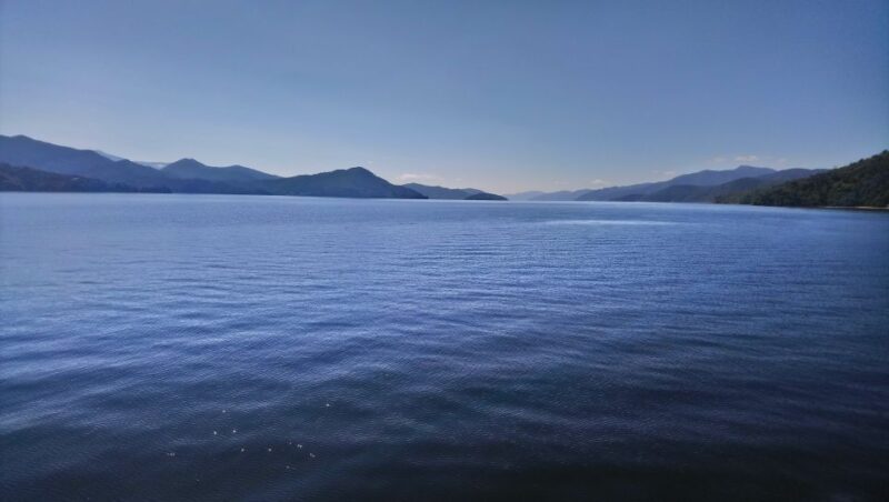 Marlborough: Full-Day Wine and Seafood Tour With Cruise - Key Points