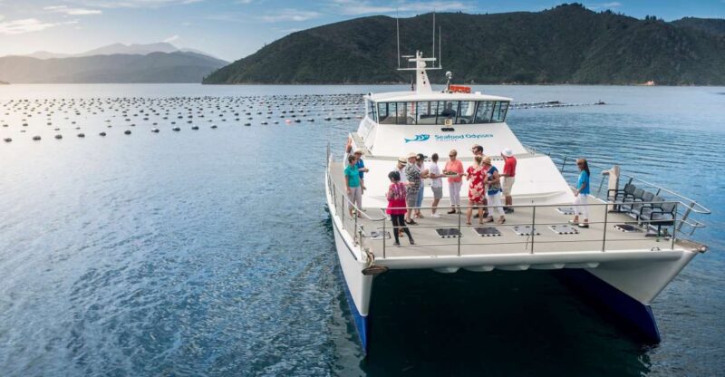 Marlborough: Full-Day Wine and Seafood Tour With Cruise - Included Experiences