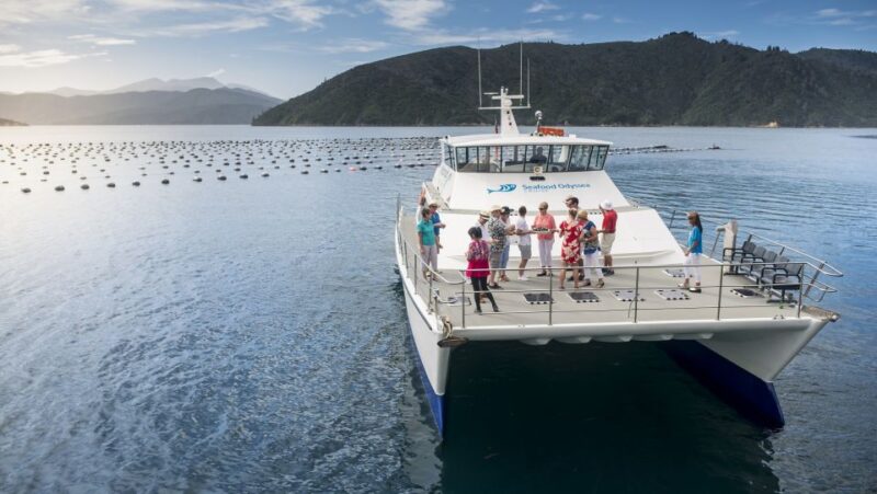 Marlborough: Full-Day Wine and Seafood Tour With Cruise - Pricing and Duration