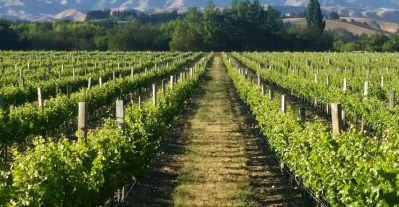 Marlborough Full Day Wine Tour - Included Amenities