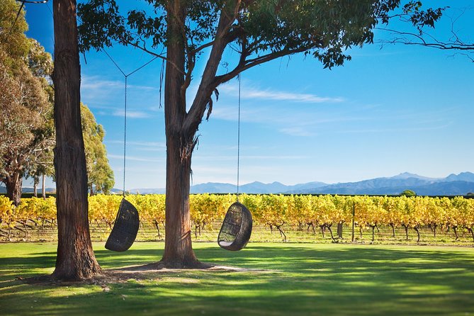 Marlborough Icons Tour - Wine Tasting + Cruise - Onboard BBQ Lunch and Seafood