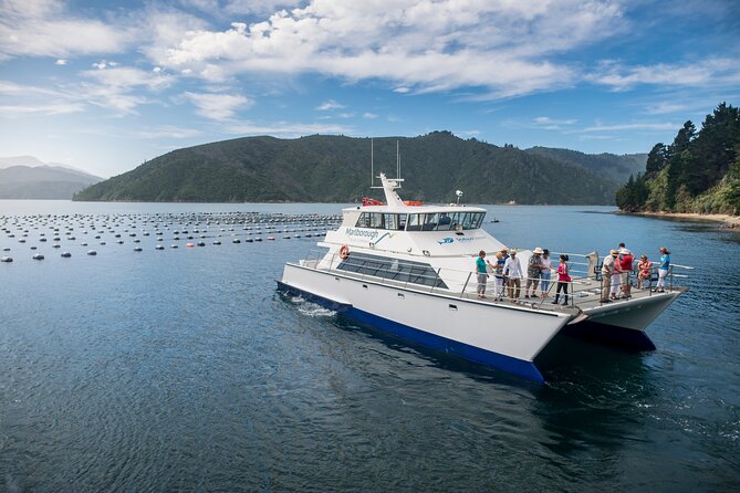 Marlborough Icons Tour - Wine Tasting + Cruise - Tour Schedule and Meeting Point
