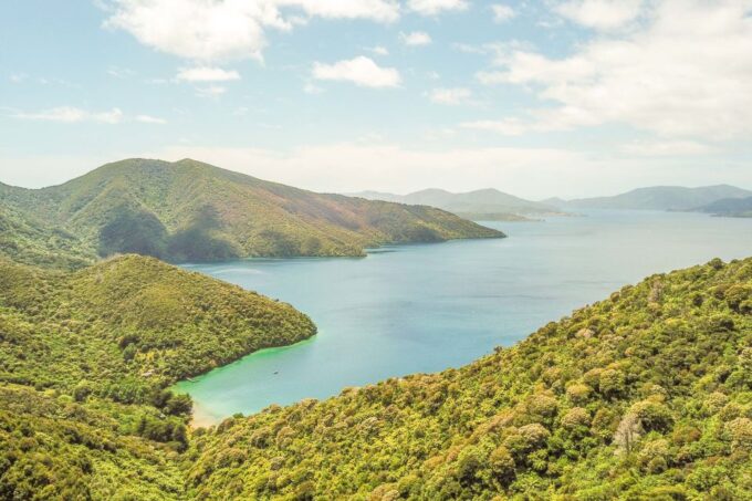 Marlborough Sounds and Ship Cove Cruise From Picton - Availability and Booking