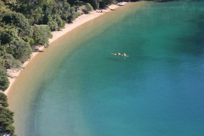 Marlborough Sounds: Full-Day Guided Kayak Tour With Lunch - Key Points