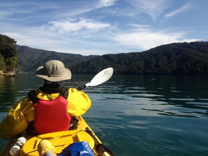 Marlborough Sounds: Full-Day Guided Kayak Tour With Lunch - Inclusions and Equipment