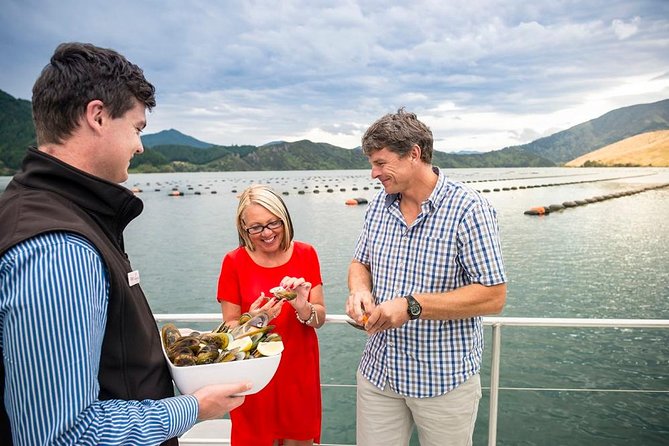 Marlborough Sounds Greenshell Mussel Tasting Cruise - Guest Reviews and Feedback