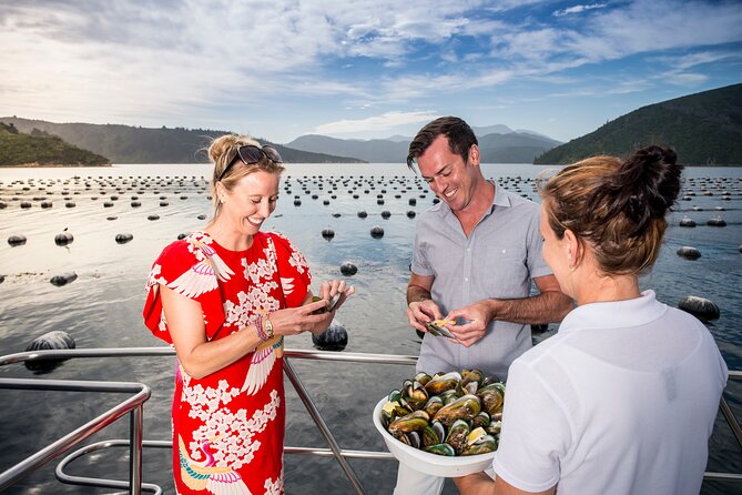 Marlborough Sounds Greenshell Mussel Tasting Cruise - Additional Information