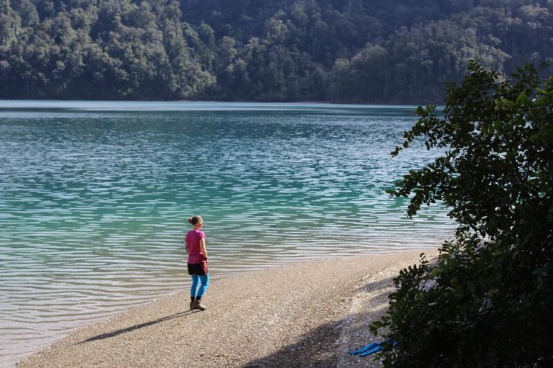 Marlborough Sounds Guided Kayak and Freedom Walk Tour - Highlights