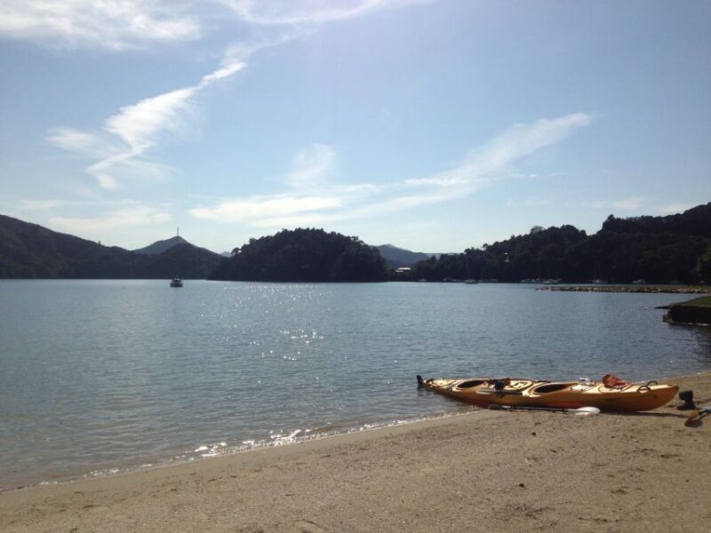 Marlborough Sounds Guided Kayak and Freedom Walk Tour - Duration and Pricing