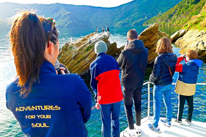 Marlborough Sounds Ultimate Cruise - Inclusions and Amenities
