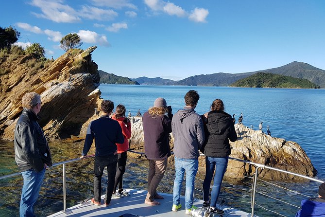 Marlborough Sounds Ultimate Cruise - Booking and Cancellation Policies