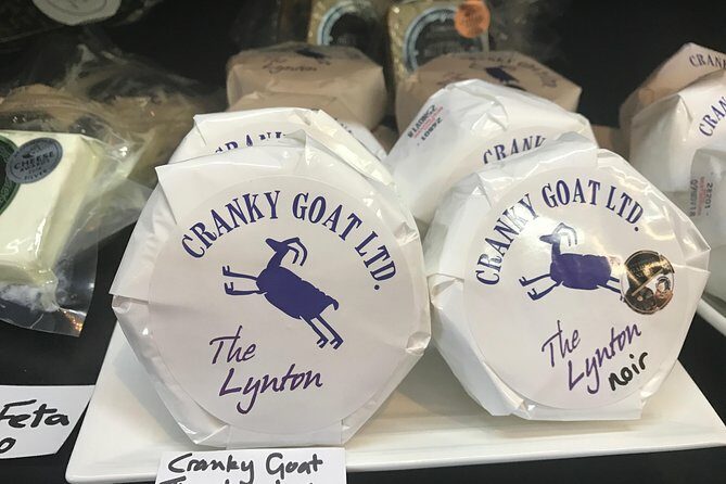 Marlborough Wine Region Tour from the Port of Picton - The Overall Experience: What We Think