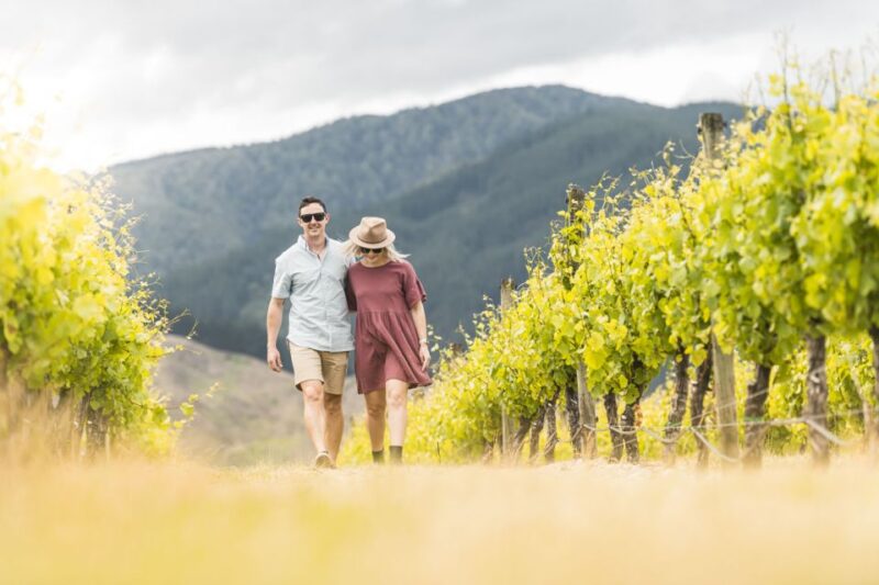 Marlborough: Wineries Visit and Tasting Session - Participant Requirements