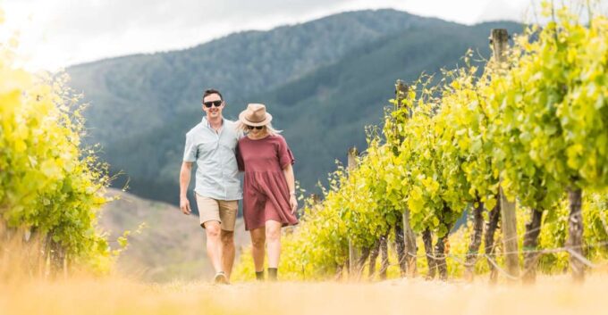 Marlborough: Wineries Visit and Tasting Session - Customer Feedback