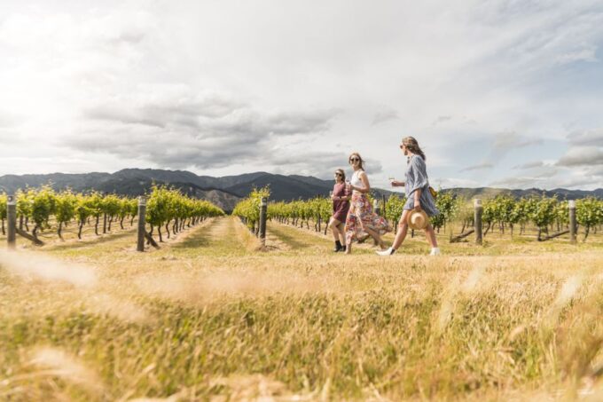 Marlborough: Wineries Visit and Tasting Session - Booking and Availability