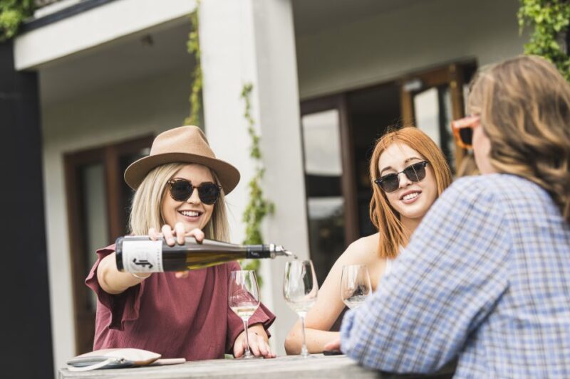 Marlborough: Wineries Visit With Tastings and 2-Course Lunch - Itinerary and Logistics