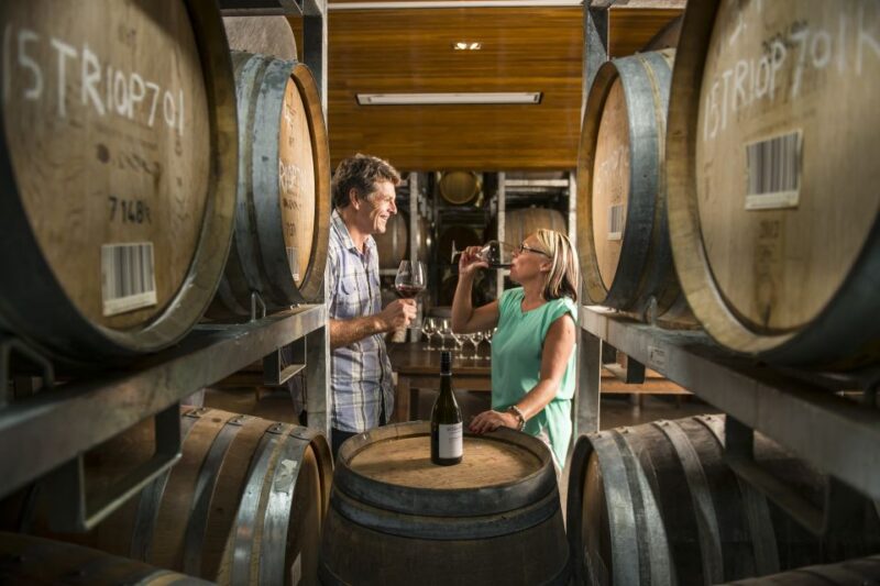Marlborough: Wineries Visit With Tastings and 2-Course Lunch - Customer Feedback and Ratings