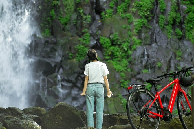 Marlin E-Bike Journey Across Mt. Aso From Kumamoto Airport - Accessibility and Transportation