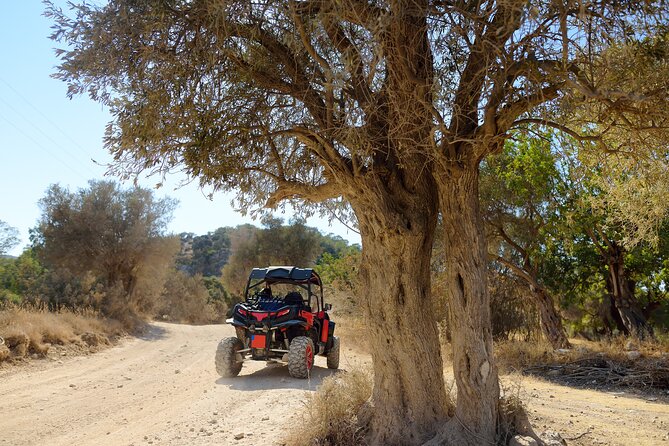 Marmaris Buggy Car Safari With Water Fights - Health and Safety Considerations