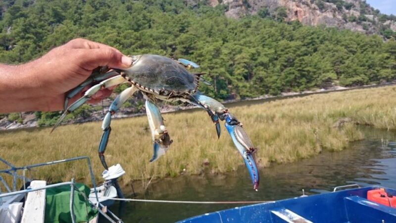 Marmaris: Dalyan Turtle Beach Tour With Mud Bath & Lunch - Dalyan Delta