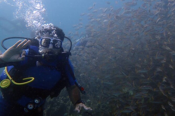 Marmaris Full Day Scuba Diving Two Dives With Lunch Hotel Pickup - Package Inclusions and Highlights