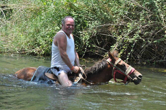 Marmaris Horse Half-Day Guided Safari - Health and Safety Considerations