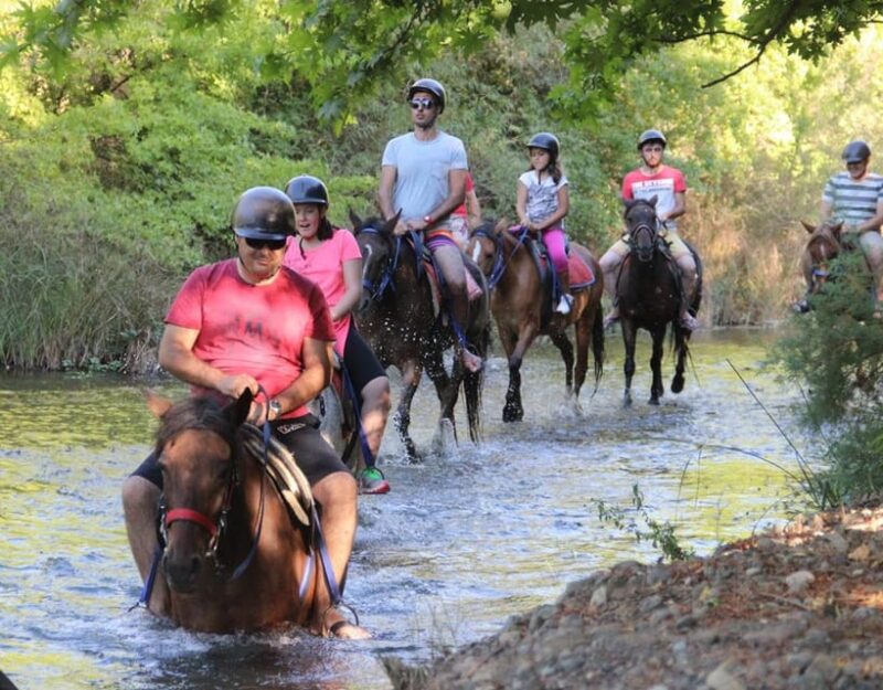 Marmaris: Horse Riding Experience With Hotel Transfers - Horse Riding Experience