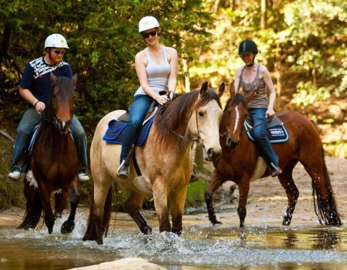 Marmaris: Horse Riding Experience With Hotel Transfers - Recommended Items