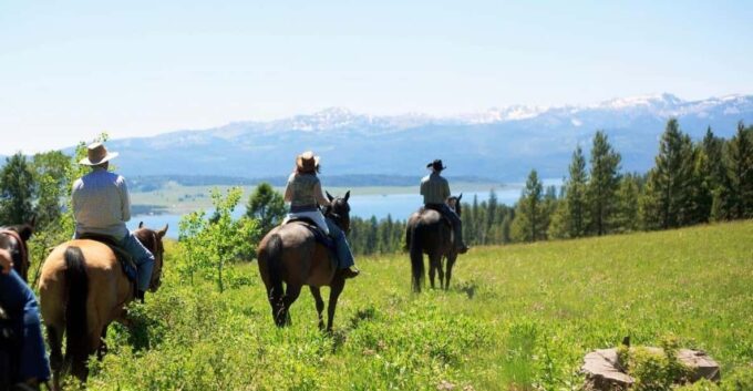 Marmaris Horse Safari - Cancellation and Payment