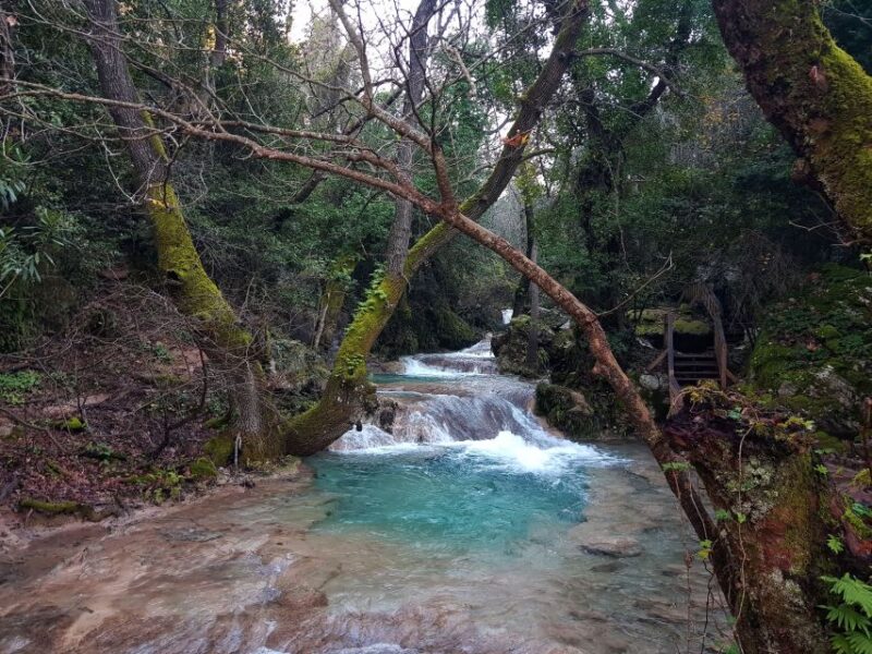Marmaris Jeep Safari: Full-Day Guided Tour With Lunch - Participant Information