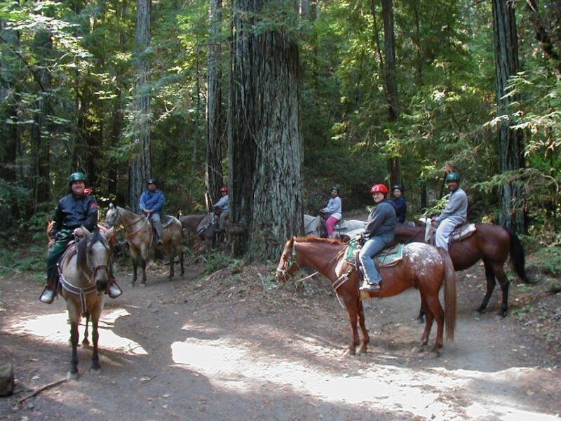 Marmaris National Park: Horse Safari - Customer Feedback