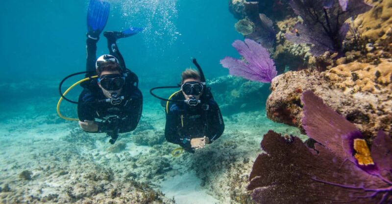 Marmaris: Scuba Diving Experience - Pricing and Booking Details