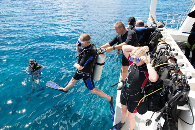 Marmaris: Scuba Diving Experience With 2 Dives and Lunch - Key Points