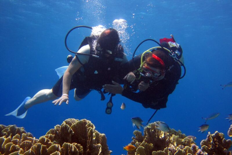 Marmaris: Scuba Diving Experience With 2 Dives and Lunch - Dive Details
