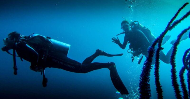 Marmaris: Scuba Diving Experience With 2 Dives and Lunch - Pricing and Inclusions