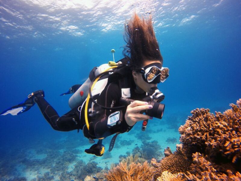 Marmaris: Scuba Diving Experience With 2 Dives and Lunch - What to Bring and Preparation